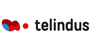 Telindus rekende op Henk Fikke voor consultancy en training